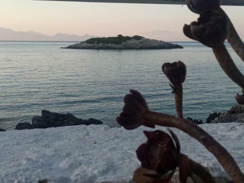 Agroturismo Floreica Studio By The Sea