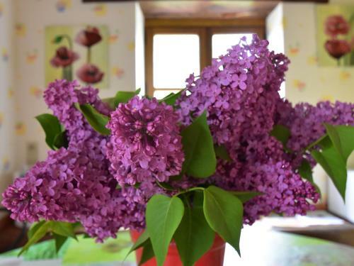 Holiday Home La Cartaudiere Charnizay
