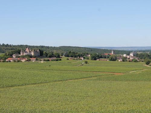 Holiday Home La Cartaudiere Charnizay