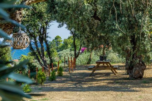 Olive Grove Apartment