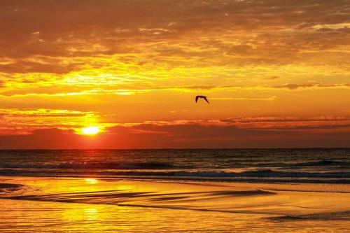 Santa Rosa Dunes By Pensacola Beach Properties