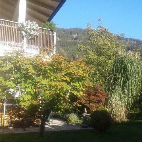 Apartamento Hochzillertalblick