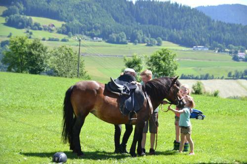 Agroturismo Erlebnisbauernhof Steinerhof