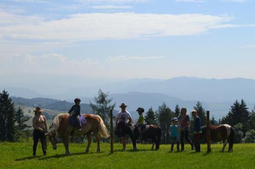 Agroturismo Erlebnisbauernhof Steinerhof