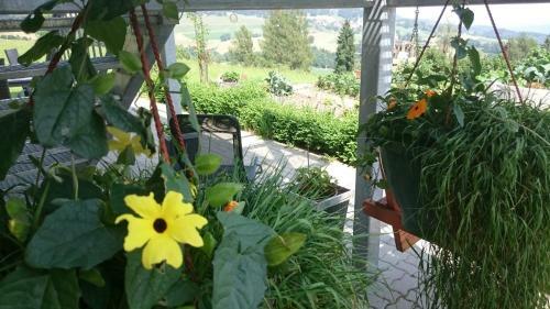 Agroturismo Erlebnisbauernhof Steinerhof