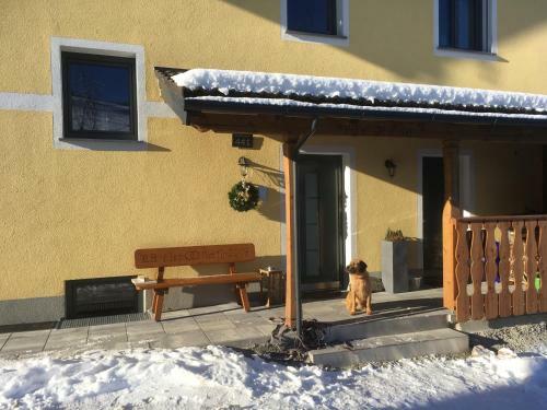 Apartamento Ferienwohnungen Hornmansreithof