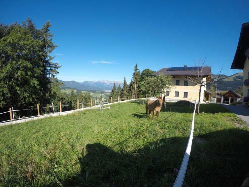Apartamento Ferienwohnungen Hornmansreithof