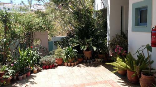 Apartamento Hotel Kleopatra
