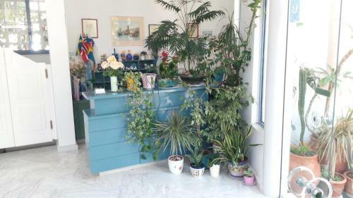 Apartamento Hotel Kleopatra