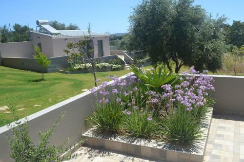 Apartamento Alexandra's Garden Houses