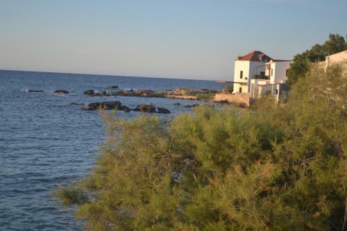Apartamento Alexandra's Garden Houses