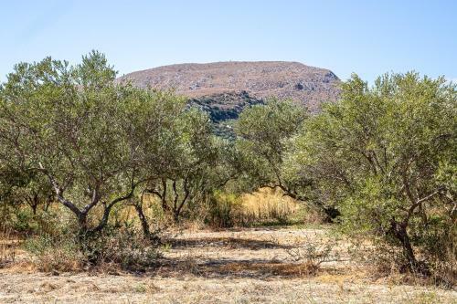 Apartamento Comfortable House In Quiet Area In Chania