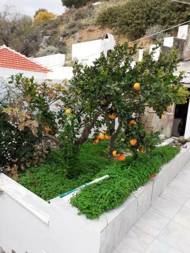 Aperi Village House