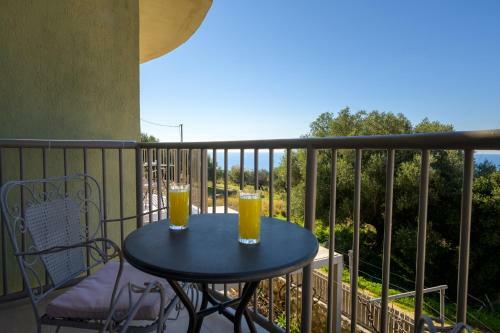 Nikos & Vassilis Apartments Kefalonia