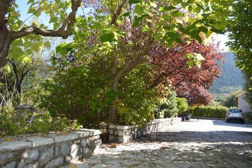 Villa Vytina With Garden And Bbq
