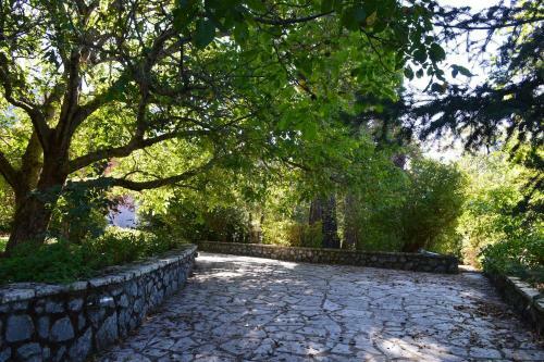 Villa Vytina With Garden And Bbq