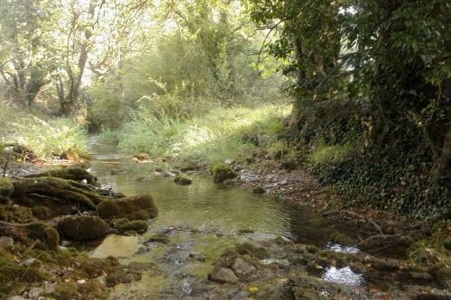Wood Cabin By The River - For Nature Lovers