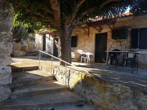 Liotrivi (oil Press)