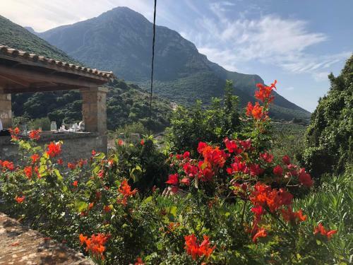 Petromanos, A Unique Place With Dreamy Sunsets!