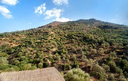 Agroturismo Kamihis Farm House Experience