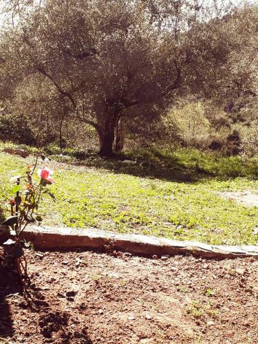 Agroturismo Hidden House In Nature