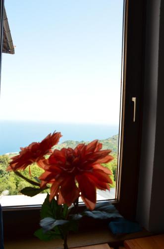 Sunray Luxury Apartment Zagora With Piano