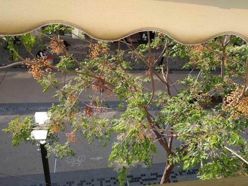 Apartamento Balcony Majestic View Citycenter Studio