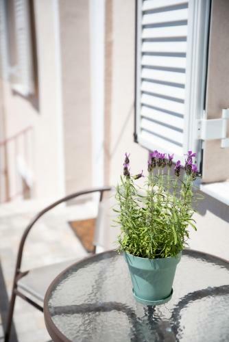 Apartamento Athina's House Close To Center