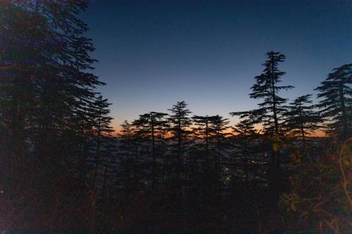 Hotel Seclude Shimla, Taraview