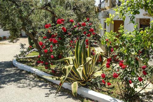 Apartamento Holiday Resort Asteris Village, Gerakini