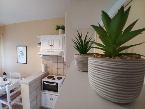 Villa Tina Country Beach Apartments