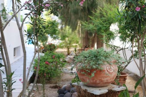 Zorzis Hotel -adults Only