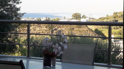 Boulevard Apartment