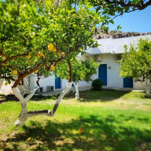 Ladikos Garden Hotel Faliraki
