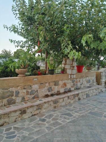 Apartment In Olive Grove