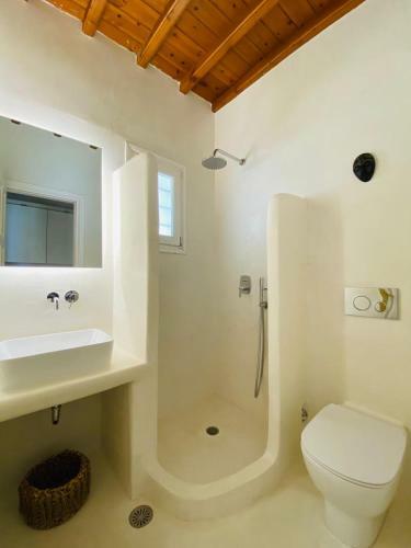 Patron Pool Villa By Mykonos & More