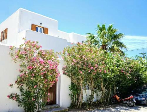 Aegean Breeze Luxury Apartments Parikia