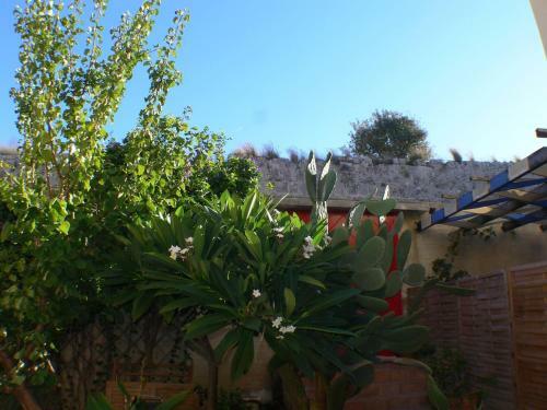 Casa De La Flora By Rhodes4vacation