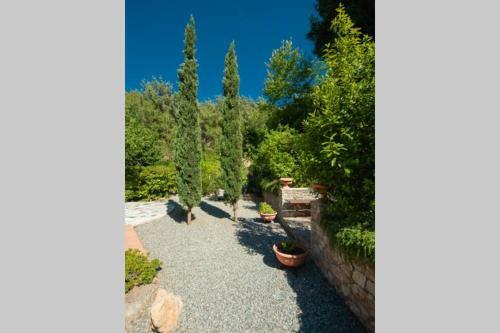 Forest Garden Villa