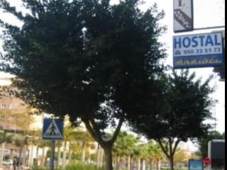 Hostal Maribel