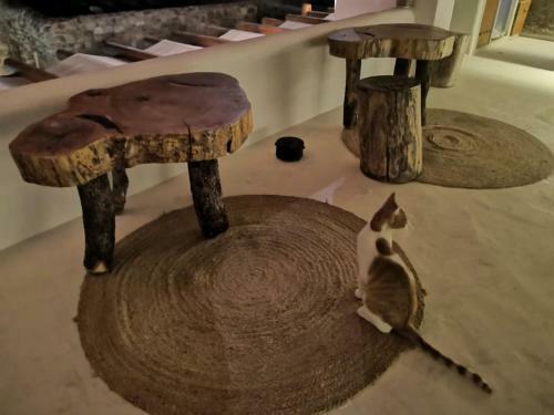 Apartamento M-vibes Luxury Suites Mykonos