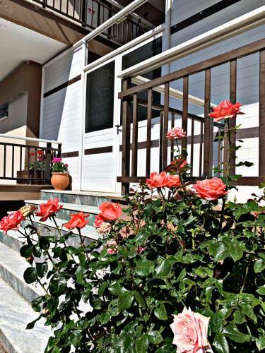 Apartamento Thealos Inn