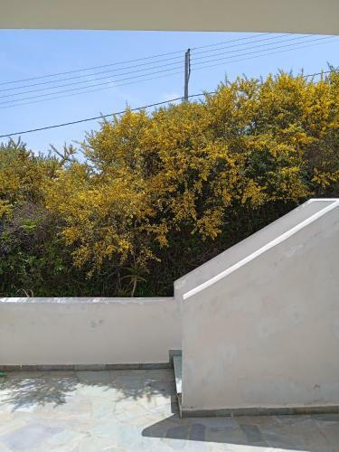 Apartamento Ieron Home