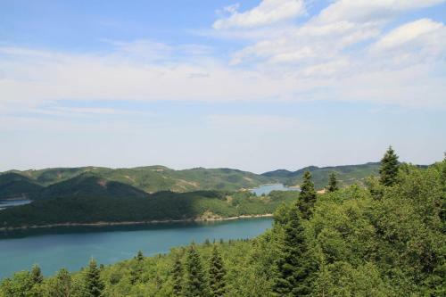 Apartamento Alonaki At Lake Plastira