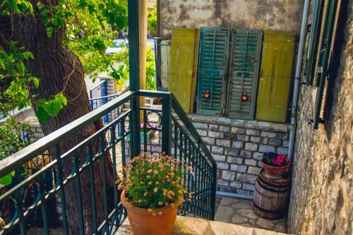 Traditional Guesthouses Xenofon