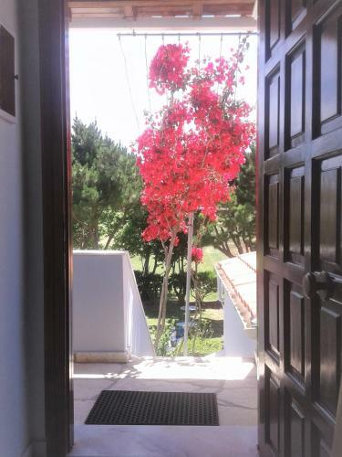Villa Angela, Seafront Apartments, Almiros Beach