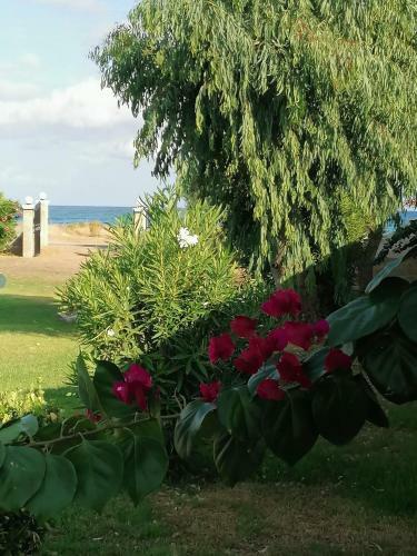 Villa Angela, Seafront Apartments, Almiros Beach