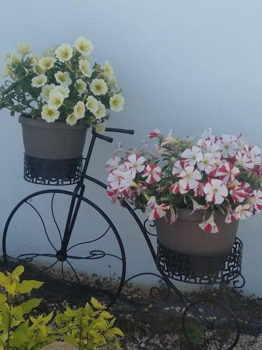My Sweet Greek Dream - Traditional Home