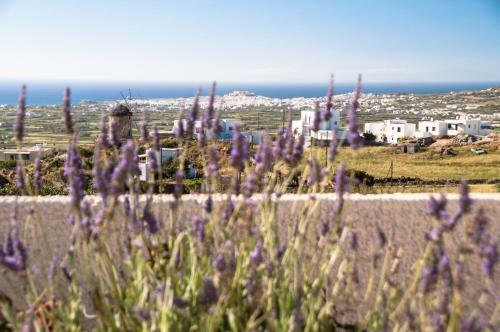 Apartamento Naxos View