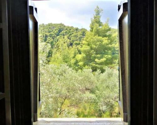 Wood & Stone Dream View House A